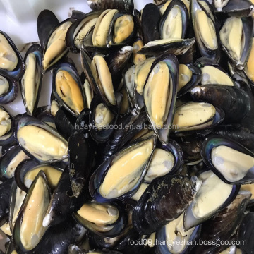 export frozen shellfish half shell mussel frozen mussel meat